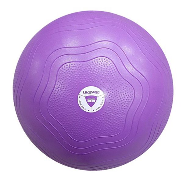 Anti Burst Swiss Ball and Pump 55cm Purple