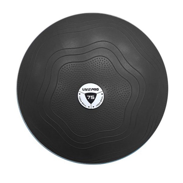 Swiss Ball Anti Burst with Pump 75cm Black