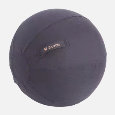 Bloom 65CM Swiss Ball Cover