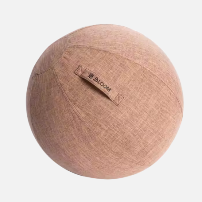 Bloom 65CM Swiss Ball Cover