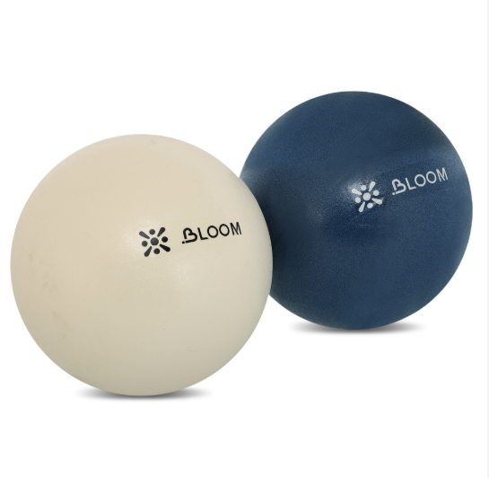 Screenshot 2026-05-16 133732 10 x Bloom Pilates Balls 20cm