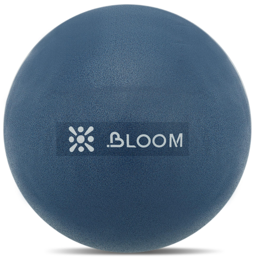 Screenshot 2026-05-16 134436 10 x Bloom Pilates Balls 20cm