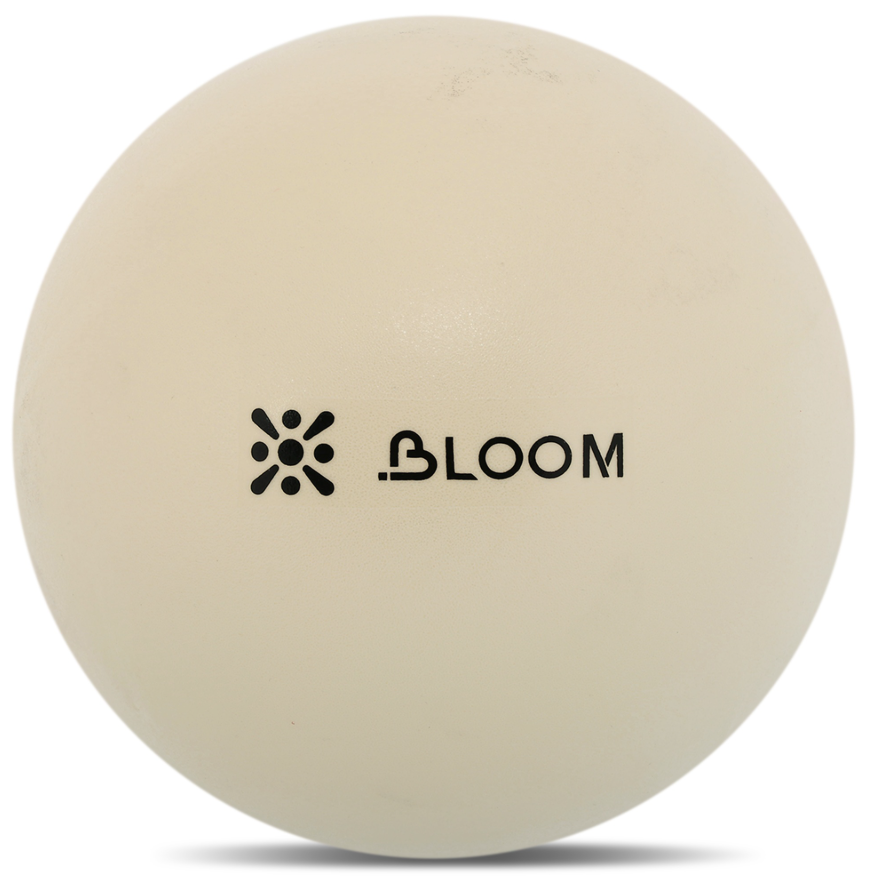 Screenshot 2026-05-16 134504 10 x Bloom Pilates Balls 20cm