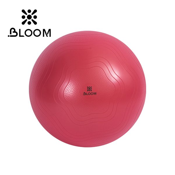 Anti burst yoga ball 65cm in red