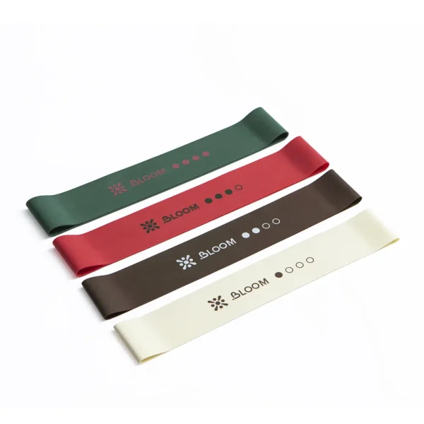 Bloom Set of 4 Loop Bands