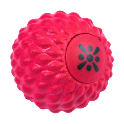 Bloom Massage Ball