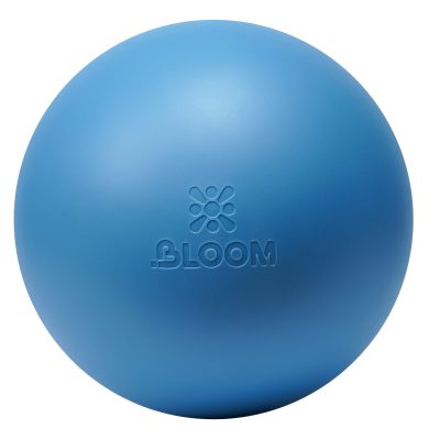 Bloom Premium Pilates Ball 20cm