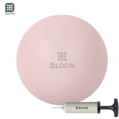Bloom Premium Pilates Ball 20cm
