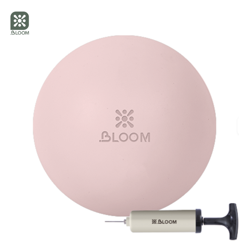 Screenshot 2026-02-25 121830 Bloom Premium Pilates Ball 20cm