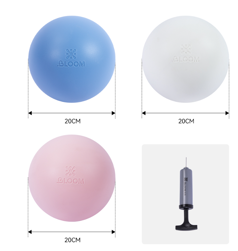 Screenshot 2026-02-25 122346 Bloom Premium Pilates Ball 20cm