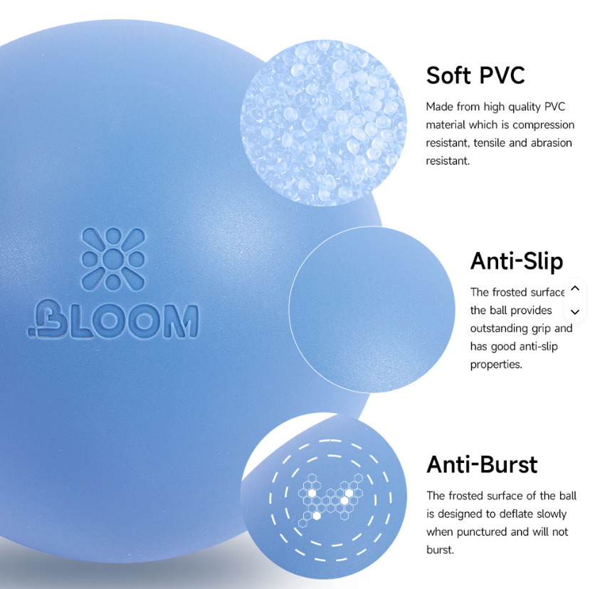 Screenshot 2026-02-25 122414 Bloom Premium Pilates Ball 20cm