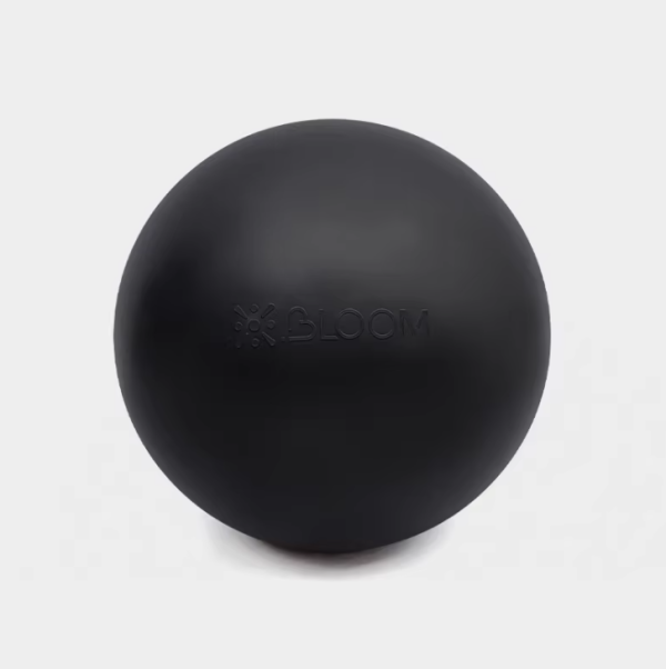 Bloom Premium Yoga Ball 55 or 65cm
