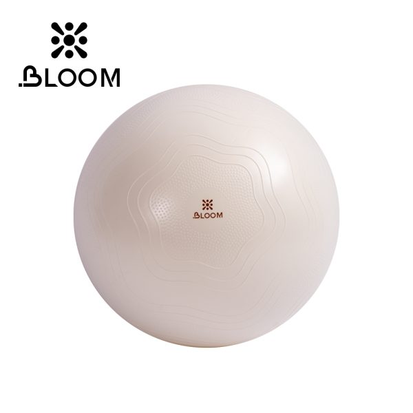 Bloom Textured Pilates Ball 20cm with Pump