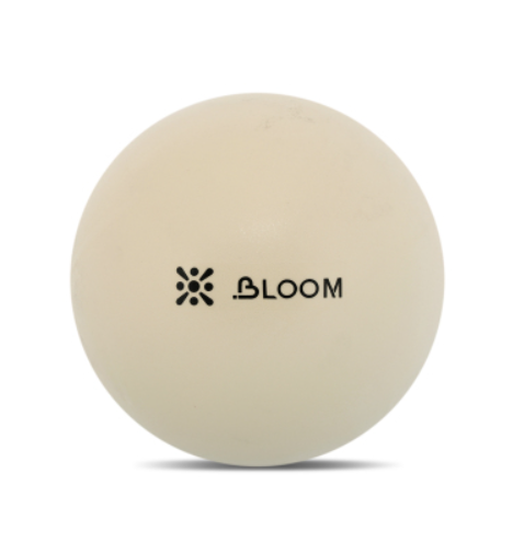Screenshot 2026-05-16 121350 Bloom Smooth Pilates Ball 30cm